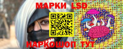 спиды Аргун