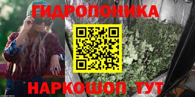 спиды Аргун