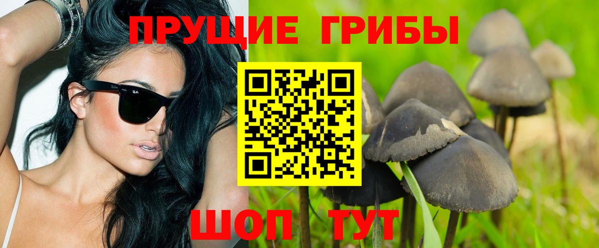 Псилоцибиновые грибы мухоморы  Вход с VPN  Барнаул 